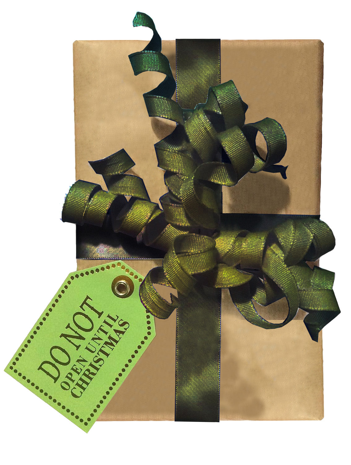 2 Rolls Kraft Wrapping Paper 22 inches wide + 32 Christmas Gift Tags with Grommets