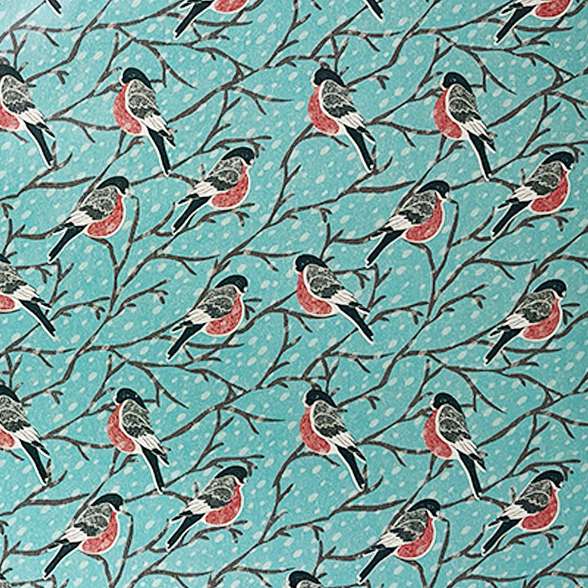 Snowbirds All Occasion Gift Wrapping Paper - 1 Roll 30 inches wide by 15 feet long