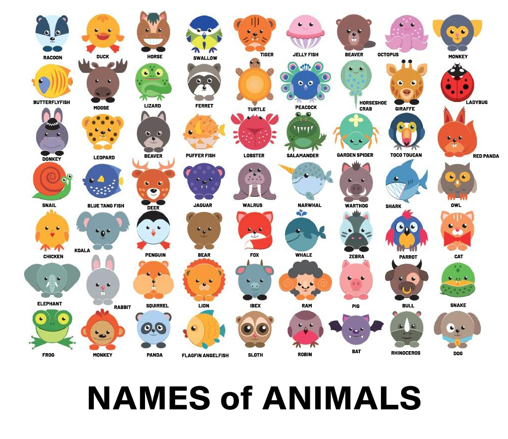 Stickers of Baby Animals for Toddlers, Kids, Adults - 63 different animals x 4 sheets