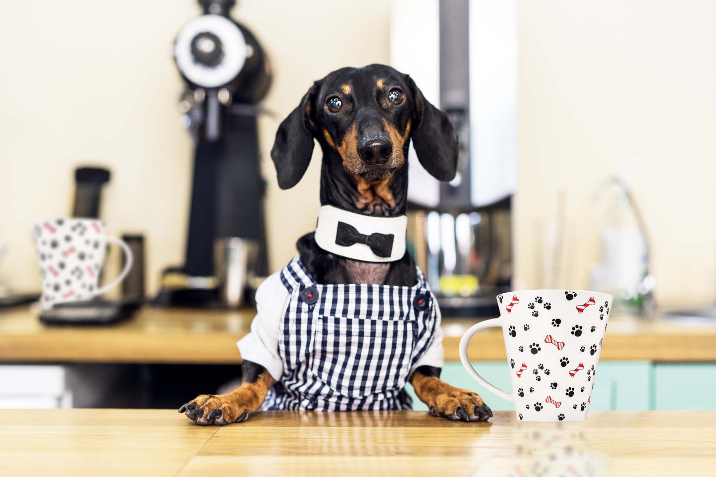 Gift Wrapped Christmas Dog Coffee Mug
