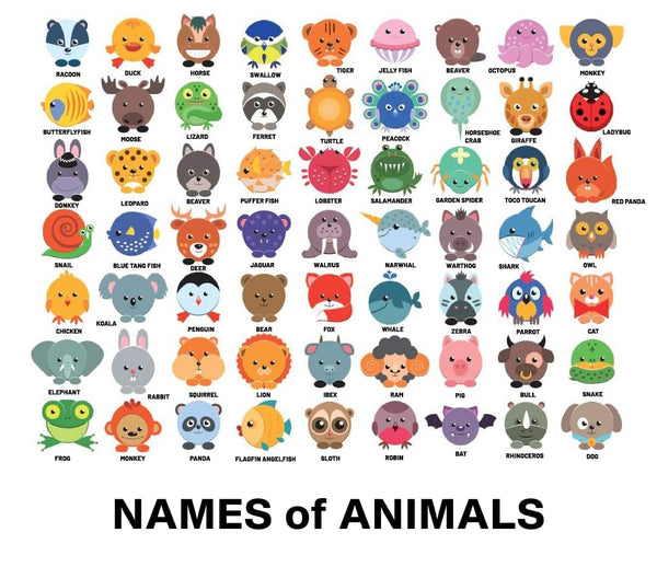 K-Kraft Animal Stickers for Baby Showers or Kids Crafts (Cute Animals) Zoo Wild and More!