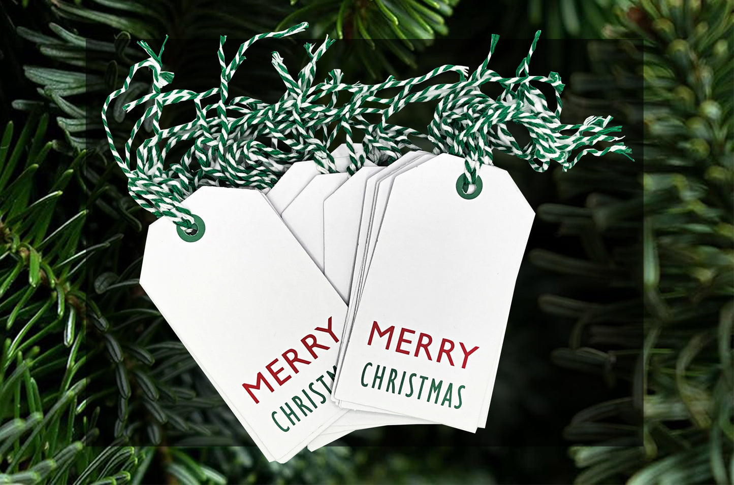 25 K-Kraft Xmas Tags for Gift Wrapping and Labeling with Green Bakers Twine Pre-Strung