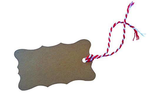 Kraft Tags for Gift Wrapping and Labeling (Fancy Shaped Natural Kraft 25 PCS)